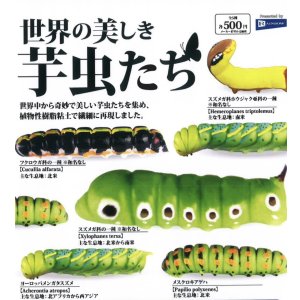 画像: 世界の美しき芋虫たち(2月)【○500円カプセル 20個入り レインボー】+正規台紙