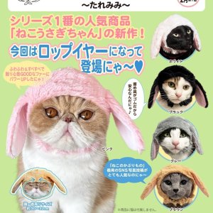 画像: かわいいかわいい ねこうさぎちゃん-たれみみ-(2月)【○400円カプセル 30個入り 奇譚クラブ】+正規台紙