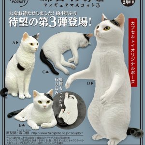 画像: 森口修の猫フィギュアマスコット3(2月)【○500円カプセル 20個入り 奇譚クラブ】+正規台紙