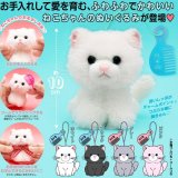 画像: おめかしねこちゃんぬいぐるみ(3月)【○500円カプセル 20個入り 奇譚クラブ】+正規台紙