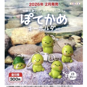画像: ぽてかめキーホルダー(2月)【○300円カプセル 40個入り アオポップ】+正規台紙