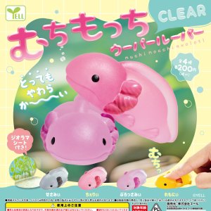画像: むちもっちウーパールーパー－ＣＬＥＡＲ－（３月）【○２００円カプセル　５０個入り　エール】＋正規台紙