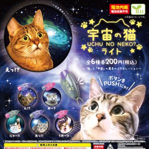 画像: 宇宙の猫ライト（再販）（３月）【○２００円カプセル　５０個入り　エール】＋正規台紙