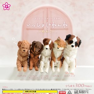 画像: いっしょにねんね わんこ（再販）（３月）【○３００円カプセル　４０個入り　エール】＋正規台紙
