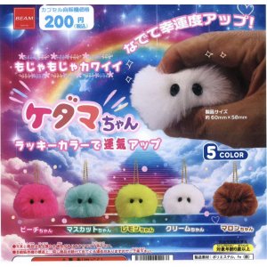 画像: もじゃもじゃカワイイ ケダマちゃん【再販】(2月)【○200円カプセル 50個入り ビーム】+正規台紙