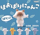 画像: ほおばりにゃんこ（２月）【○２００円カプセル　５０個入り　十影堂】＋正規台紙