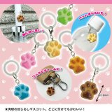 画像: 目じるし 肉球マスコット（２月）（○２００円カプセル　５０個入り　共同】＋正規台紙