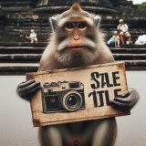 画像: おさるのジョージ フェイス型シリコンケース２（３月）【○４００円カプセル　３０個入り　タカラトミー】＋正規台紙