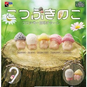 画像: こつぶきのこ フロッキー目印チャーム(2月)【○300円カプセル 40個入り くりんぼう】+正規台紙