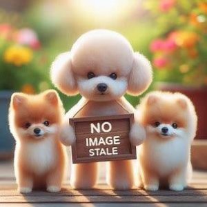 画像: サンリオキャラクターズ 白菜マスコット（４月）【◎３００円カプセル　４０個入り　タカラトミー】＋正規台紙