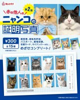 画像: ニャンコの証明写真（第二弾）（１月）【●３００円カプセル　１カートン２００個入り　奇人クラブ】