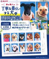 画像: 丁寧な暮らしをする犬の証明写真（１月）【●３００円カプセル　１カートン２００個入り　奇人クラブ】