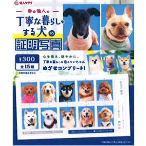 画像: 丁寧な暮らしをする犬の証明写真（１月）【●３００円カプセル　１カートン２００個入り　奇人クラブ】