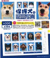 画像: 保護犬の証明写真（１月）【●３００円カプセル　１カートン２００個入り　奇人クラブ】