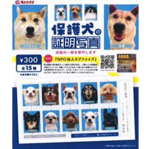 画像: 保護犬の証明写真（１月）【●３００円カプセル　１カートン２００個入り　奇人クラブ】