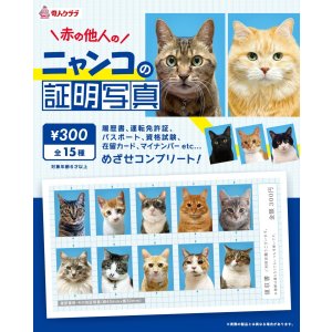 画像: ニャンコの証明写真（第一弾）（１月）【●３００円カプセル　１カートン２００個入り　奇人クラブ】