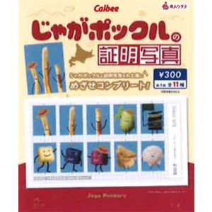画像: じゃがポックルの証明写真（１月）【●３００円カプセル　１カートン２００個入り　奇人クラブ】
