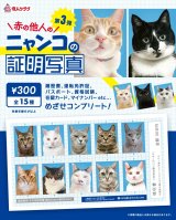 画像: ニャンコの証明写真（第三弾）（１月）【●３００円カプセル　１カートン２００個入り　奇人クラブ】