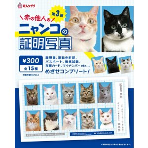 画像: ニャンコの証明写真（第三弾）（１月）【●３００円カプセル　１カートン２００個入り　奇人クラブ】