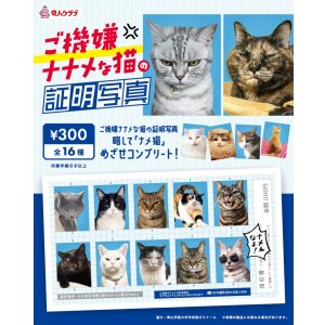 画像: ご機嫌ナナメな猫の証明写真（１月）【●３００円カプセル　１カートン２００個入り　奇人クラブ】
