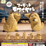 画像: マーモットロワイヤル（４月）【☆２００円カプセル　５０個入り　エール】＋正規台紙