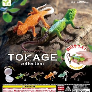 画像: とかげコレクション（４月）【☆３００円カプセル　４０個入り　エール】＋正規台紙