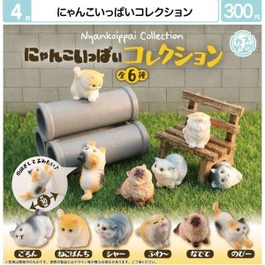 画像: にゃんこいっぱいコレクション(4月)【☆300円カプセル 40個入り マルカ】+正規台紙