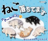 画像: ねこ、落ちてます（４月）【☆２００円カプセル　５０個入り　十影堂】＋正規台紙