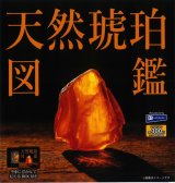 画像: 天然琥珀図鑑（４月）【☆３００円カプセル　４０個入り　レインボー】＋正規台紙