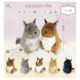 画像: てのひらサイズのデグーぬいぐるみ（５月）【☆５００円カプセル　２０個入り　ホットライン】＋正規台紙