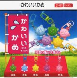 画像: かわいいかめ（４月）【☆２００円カプセル　１カートン４００個入り　榎並産業】