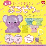 画像: もっとちいさなめじるし ぷちぞうくん（４月）【☆２００円カプセル　５０個入り　スタンバイ】＋正規台紙