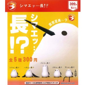 画像: シマエッ・・・長！？（４月）【☆３００円カプセル　４０個入り　ブライトリンク】＋正規台紙