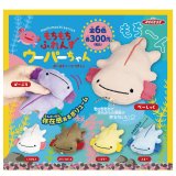 画像: もちもちふれんずウーパーちゃん（４月）【☆３００円カプセル　４０個入り　アクセス】＋正規台紙