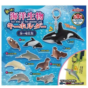 画像: 鈴つき！海洋生物キーホルダー　海の哺乳類（４月）【☆３００円カプセル　４０個入り　アクセス】＋正規台紙