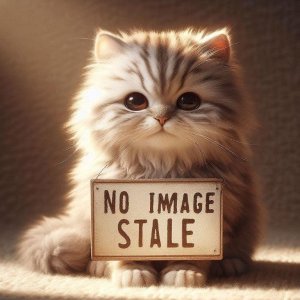 画像: 猫の手クリアケース（５月）【★２００円カプセル　５０個入り　ターリン】＋正規台紙