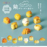 画像: こんがり！柴パン ベーカリー（５月）【★３００円カプセル　４０個入り　アオポップ】＋正規台紙