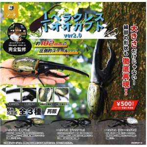 画像: 1/1ヘラクレスオオカブトver.2.0（再販）（５月）【★５００円カプセル　２０個入り　SO-TA】＋正規台紙