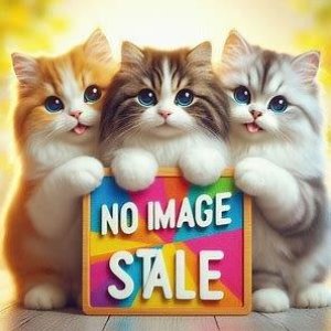 画像: ケアベア　アクリルカラビナ（５月）【★３００円カプセル　４０個入り　IP4】＋正規台紙