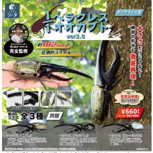 画像: ＳＯ－ＴＡ／★ＴＦＣ　1/1ヘラクレスオオカブト ver.2.0（５月）