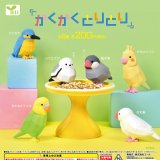 画像: かくかくとりとり（５月）【★２００円カプセル　５０個入り　エール】＋正規台紙