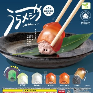 画像: うらメシやー-いかめしぃ-（５月）【★３００円カプセル　４０個入り　エール】＋正規台紙