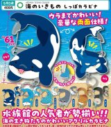 画像: ATC 海のいきもの しっぽカラビナ（５月）【★４００円カプセル　３０個入り　いきもん】＋正規台紙