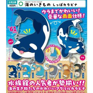 画像: ATC 海のいきもの しっぽカラビナ（５月）【★４００円カプセル　３０個入り　いきもん】＋正規台紙