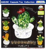 画像: キラキラサボテンフィギュア3（６月）【◇３００円カプセル　４０個入り　アミューズ】＋正規台紙