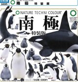 画像: NTC 南極 特装版（再販）（６月）【◇５００円カプセル　２０個入り　いきもん】＋正規台紙