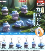 画像: ごきげんカバどん　めじるしチャーム（６月）【◇４００円カプセル　３０個入り　アオポップ】＋正規台紙