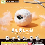 画像: ましましーぷ（６月）【◇３００円カプセル　４０個入り　エール】＋正規台紙