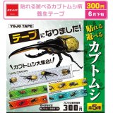 画像: 貼れる遊べるカブトムシ柄　養生テープ（６月）【◇３００円カプセル　４０個入り　ビーム】＋正規台紙