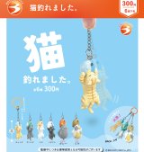 画像: 猫釣れました。（６月）【◇３００円カプセル　４０個入り　ブライトリンク】＋正規台紙